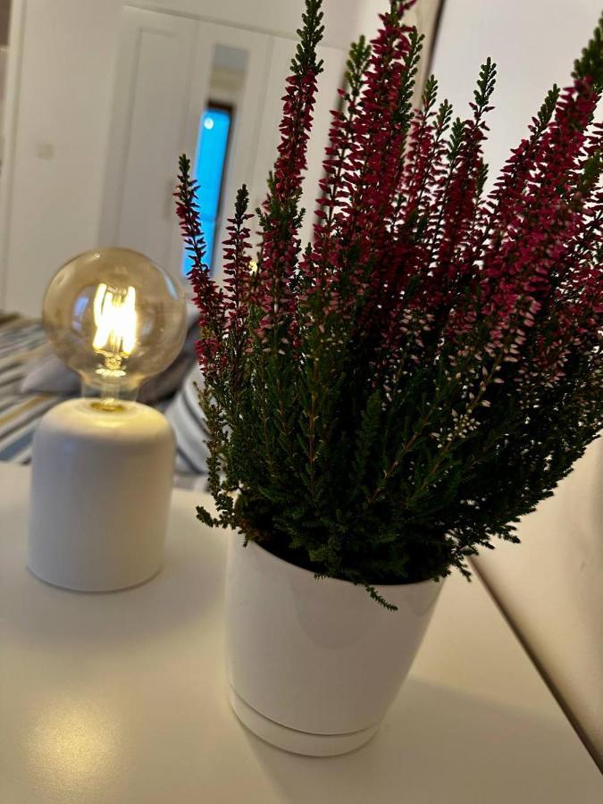 Apartament Centrum, Miejsce Parkingowe W Cenie Warszawa Exteriör bild